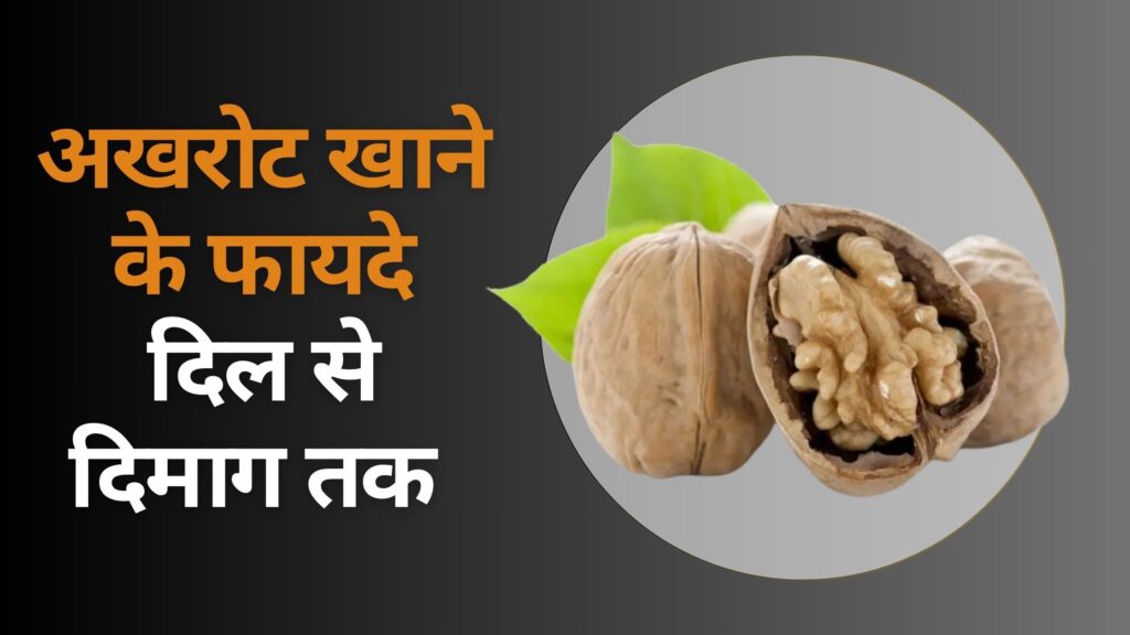 अखरोट खाने के फायदे दिल से दिमाग तक