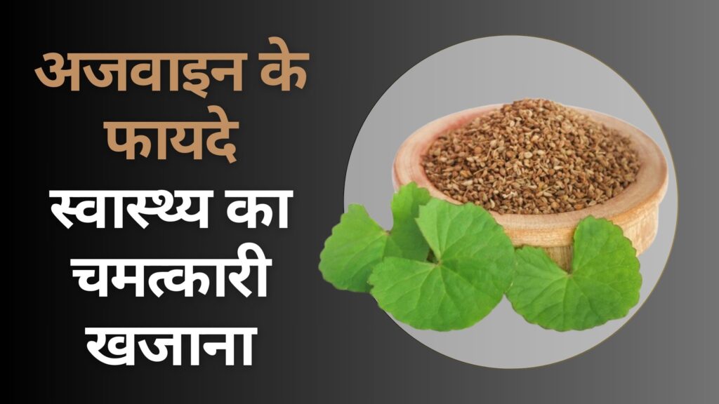 अजवाइन के फायदे: स्वास्थ्य का चमत्कारी खजाना