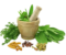 Healthy Life