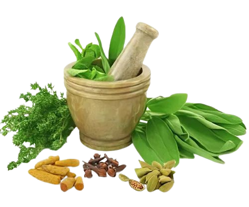 Healthy Life