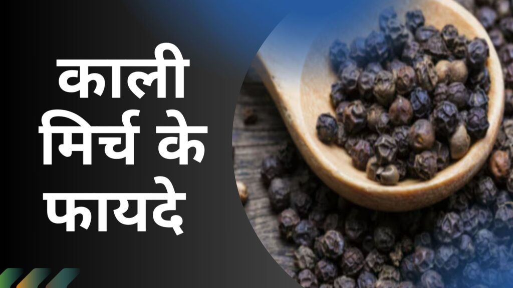 काली मिर्च के फायदे -रोग प्रतिरोधक क्षमता बढ़ायें