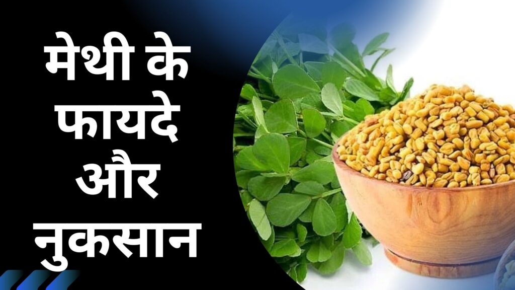 मेथी के फायदे और नुकसान | 8 Best Benefits of Fenugreek and Precaution