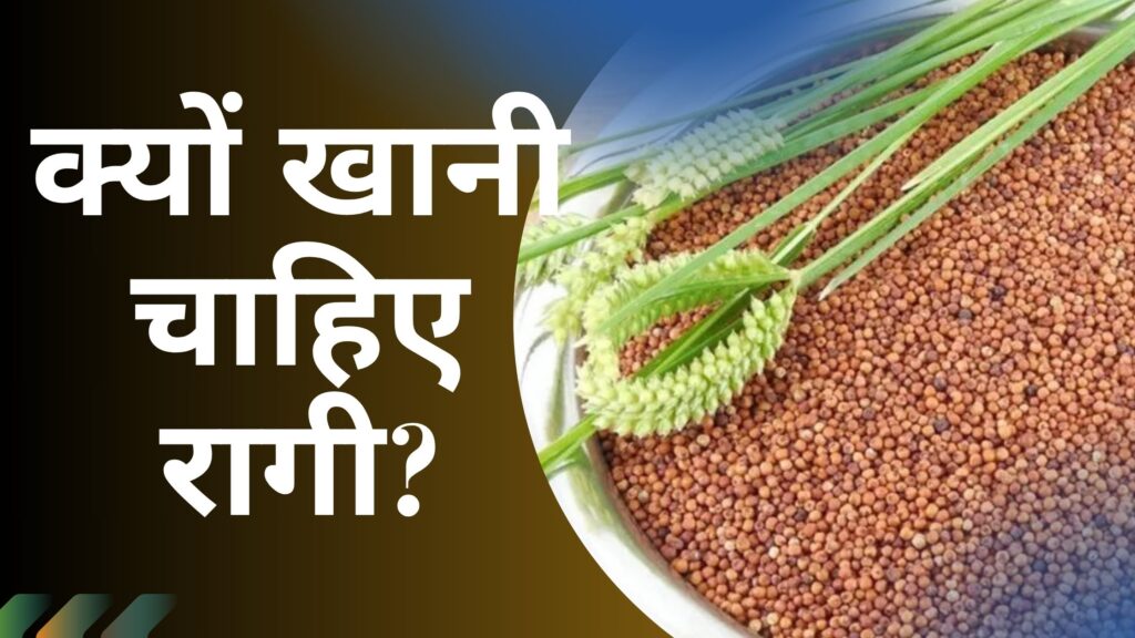 रागी खाने के फायदे और नुकसान | 5 Benefits and Disadvantages of Eating Ragi