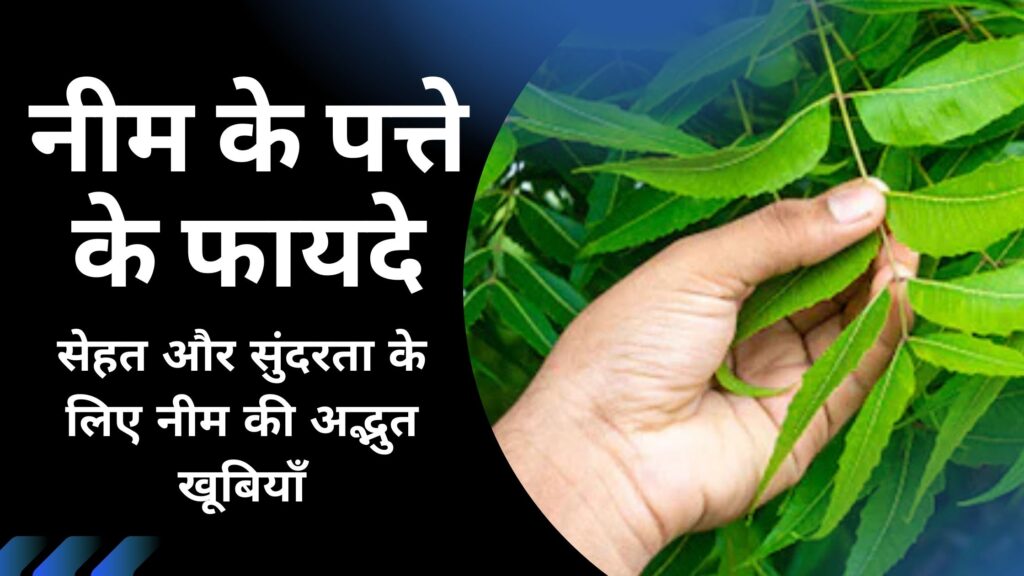 नीम के पत्ते के फायदे