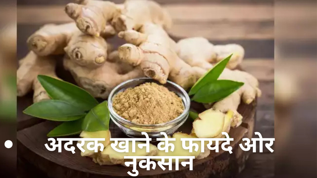 अदरक खाने के फायदे और नुकसान