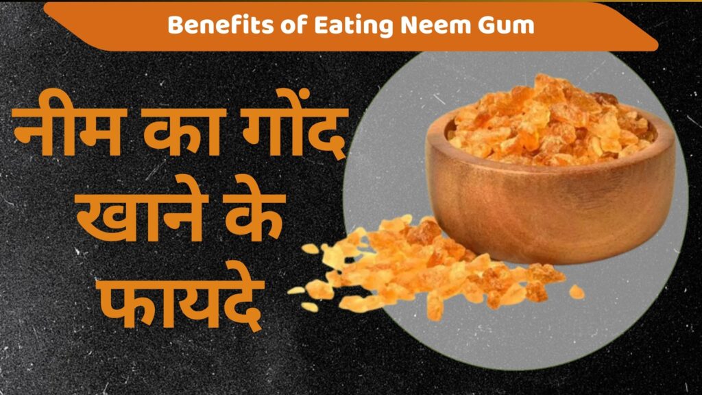 नीम का गोंद खाने के फायदे | 6 Best Benefits of Eating Neem Gum