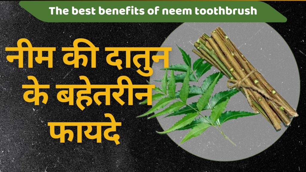 दांतों के लिए वरदान नीम की दातुन | Neem ke Datun ke Fayade