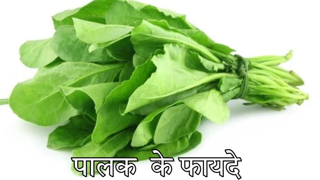 पालक