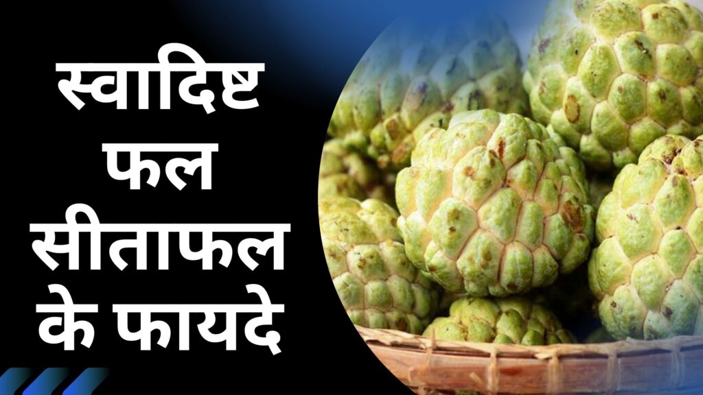 स्वादिष्ट फल सीताफल के फायदे