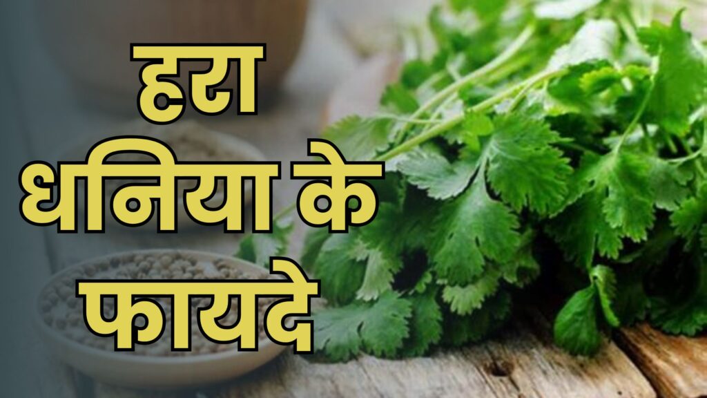 क्या है हरा धनिया के फायदे | Hara Dhaniya ke Fayde