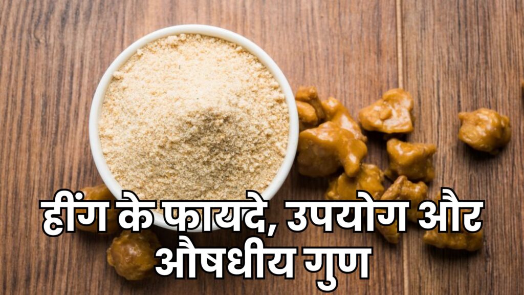 सहि मात्रा मे खाने से हींग के फायदे [ hing ke fayde ]