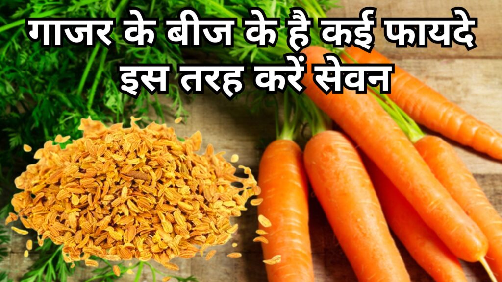 गाजर के बीज के फायदे । 6 Best Benefits Of Carrot Seeds