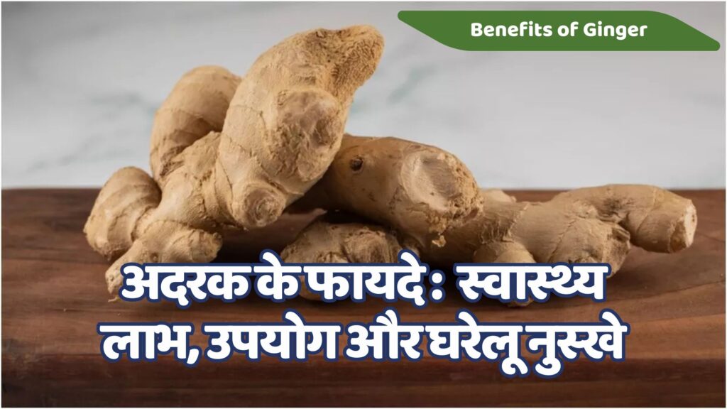 अदरक के फायदे: स्वास्थ्य लाभ, उपयोग और घरेलू नुस्खे | 8 Best Benefits of Ginger in Hindi
