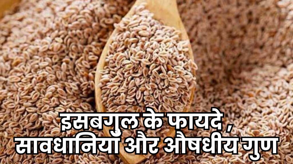 इसबगुल के फायदे । 6 Best Isabgol Ke Fayde