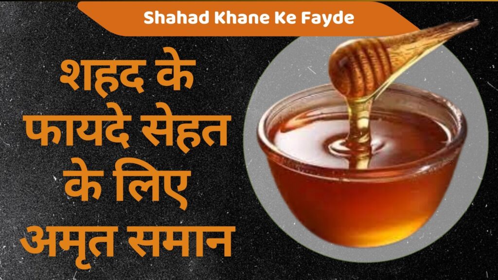 शहद के फायदे सेहत के लिए अमृत समान | 10 Best Shahad ke Fayde
