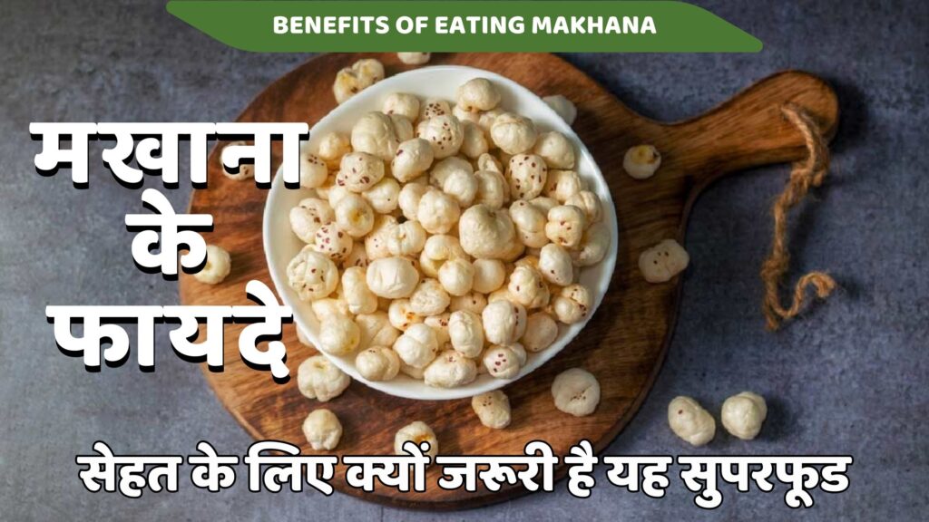 मखाना के फायदे: सेहत के लिए सुपरफूड | 6 Best Makhana ke Fayade मखाना के फायदे, मखाना खाने के फायदे, मखाने के फायदे, ताल मखाना के फायदे, makhana khane ke fayde, makhana ka upyog